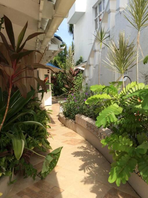 Lush Tropical Apartment Located In A 4-Star Resort Runaway Bay Eksteriør billede
