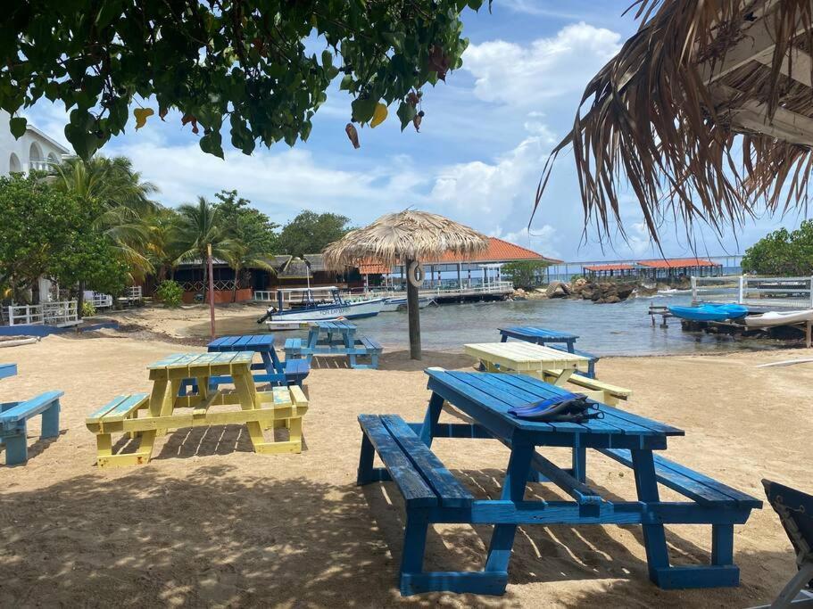 Lush Tropical Apartment Located In A 4-Star Resort Runaway Bay Eksteriør billede